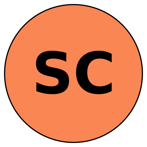 SavvyCareers